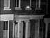 canny, 2004