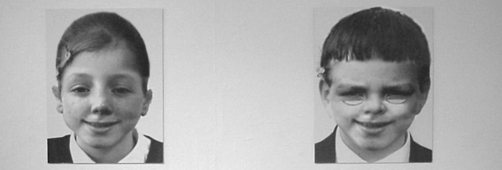 The Democracy Wall - the public's chance to change the course of history