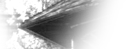 arnold circus, 2006