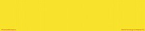 fourwords